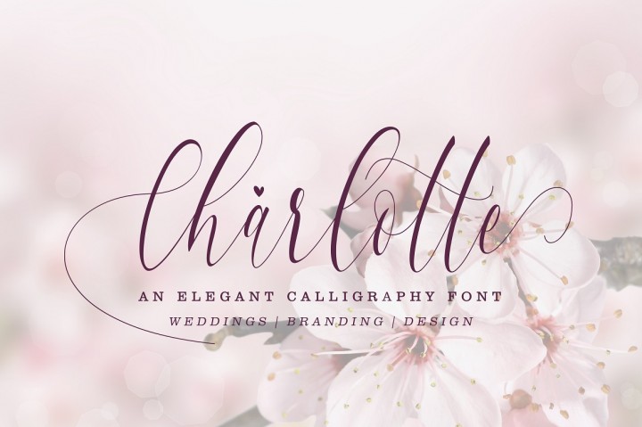 Charlotte Calligraphy插图