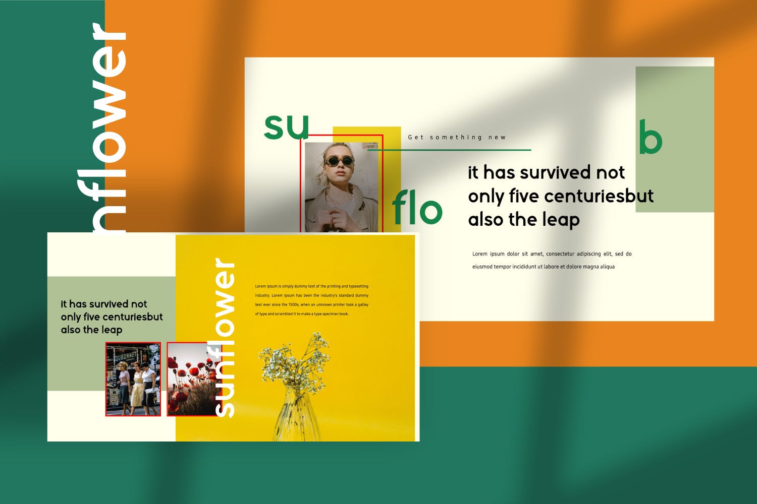 摄影工作室介绍PPT模板素材下载 Sunflowers – Powerpoint插图(6)