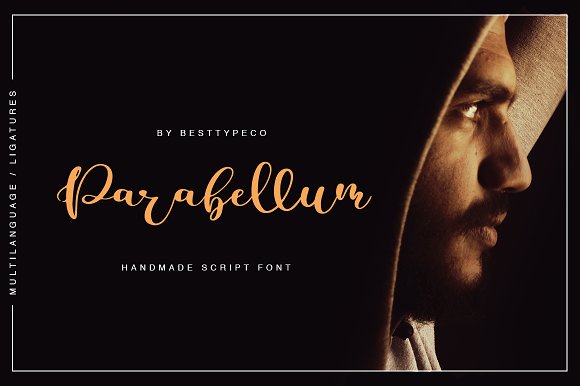 Parabellum Font插图