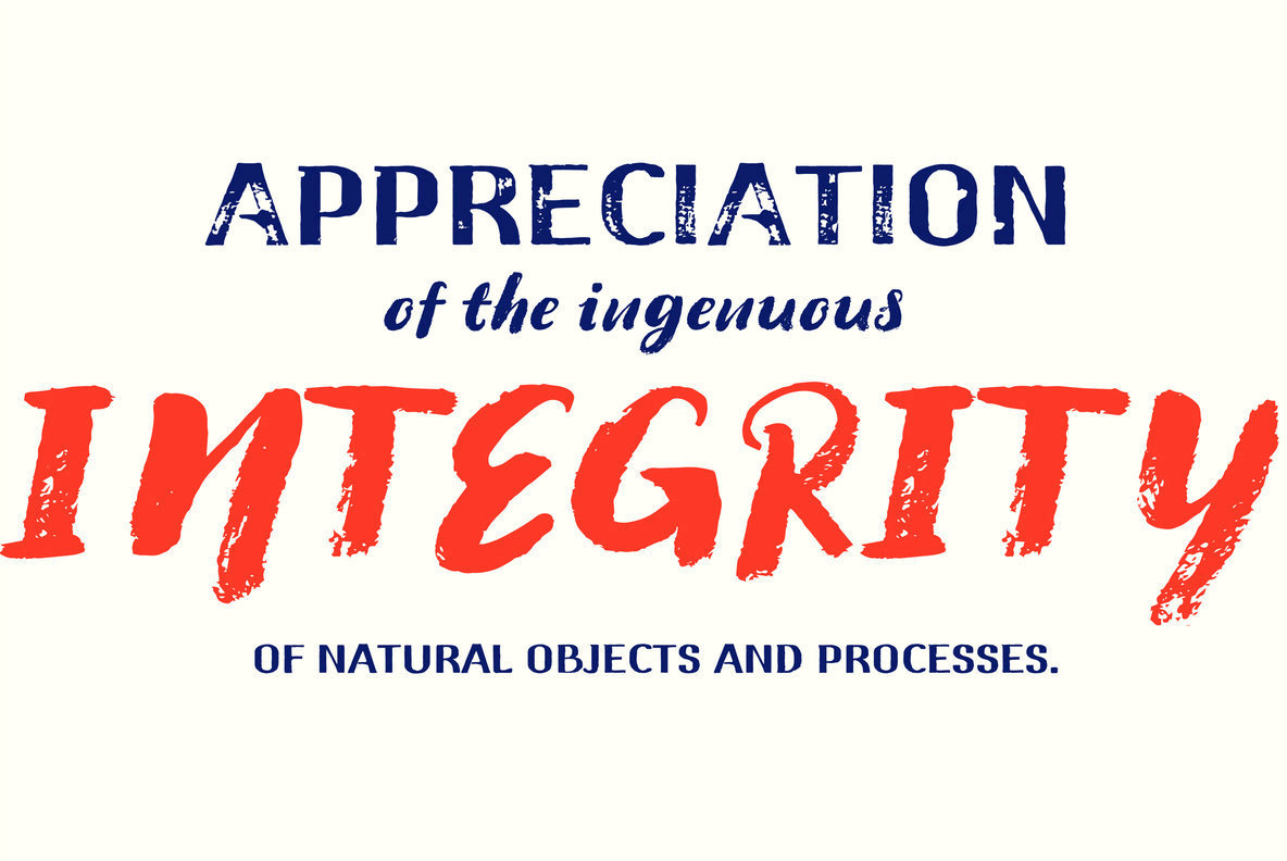 Wabi Sabi Font Family插图2