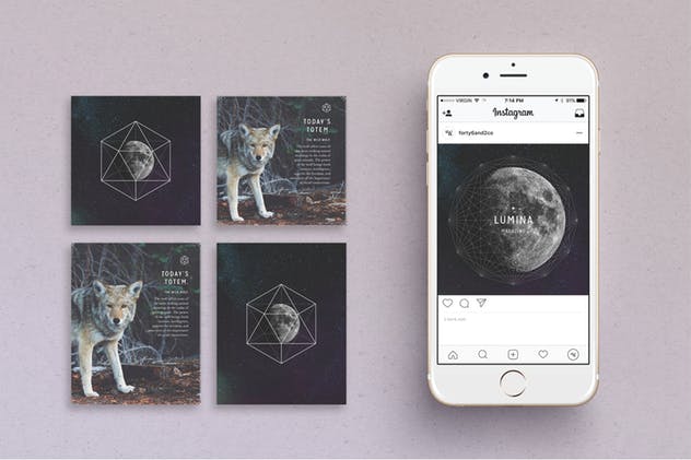 美丽多用途易用Pinterest模板素材库精选 LUMINA Pinterest Pack插图(1)