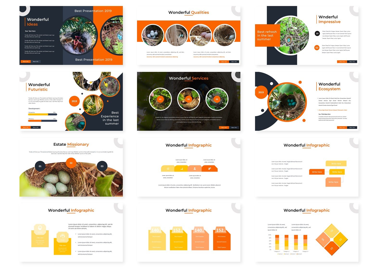 鸟类调查报告PPT幻灯片模板 The Angsa – Powerpoint Template插图(2)