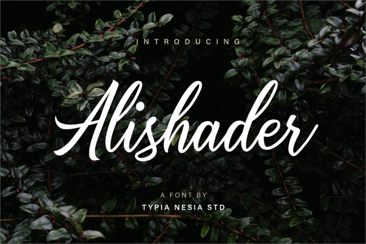 Alishader Demo font插图 Alishader Demo font插图
