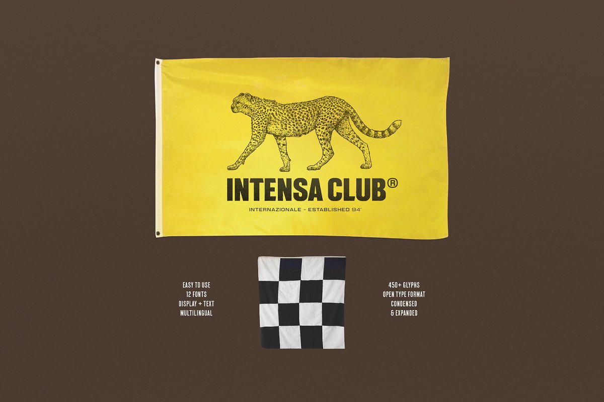 Intensa – Font Family插图1