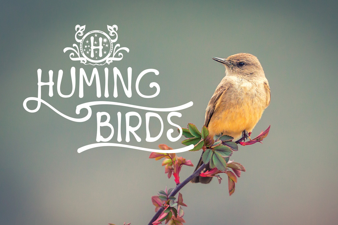 Starchild Regular Font插图2