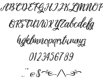 Plastic Beauty font插图1