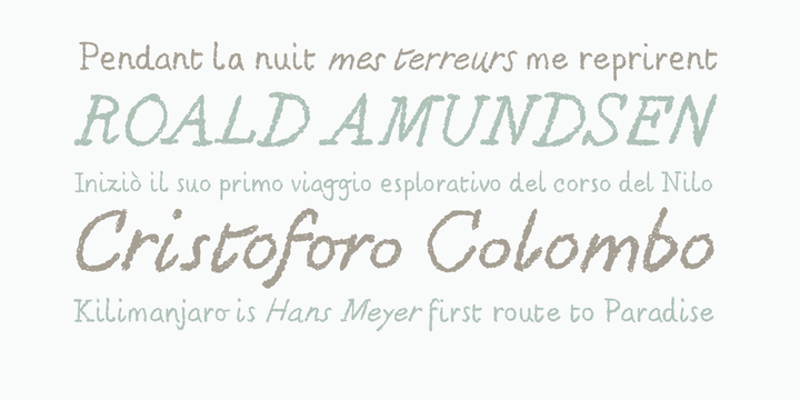 Berton Font Family插图4