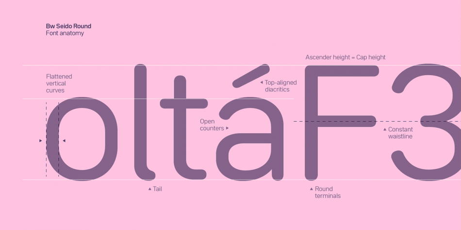 Bw Seido Round Font插图2