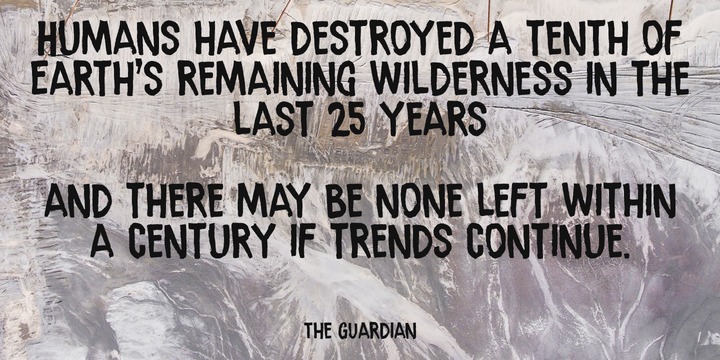 Ramkoers Font Family插图