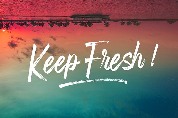 Fronds Getturing Font插图1