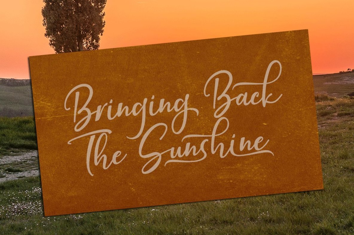 Just Beauty Font插图3