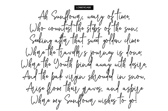 Stone Soul Font插图1