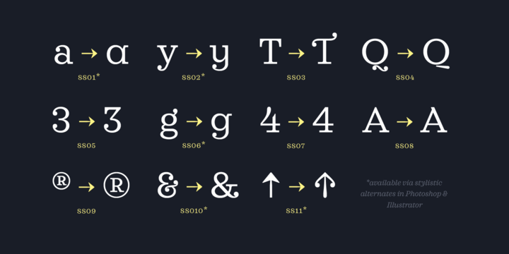 粗衬线英文印刷排版字体Sagona Font Family插图(9)