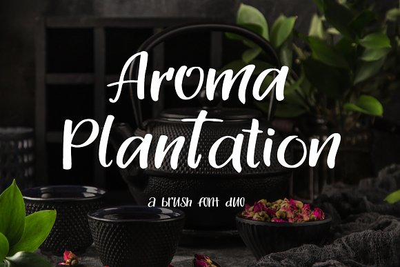 Aroma Plantation-font duo插图1