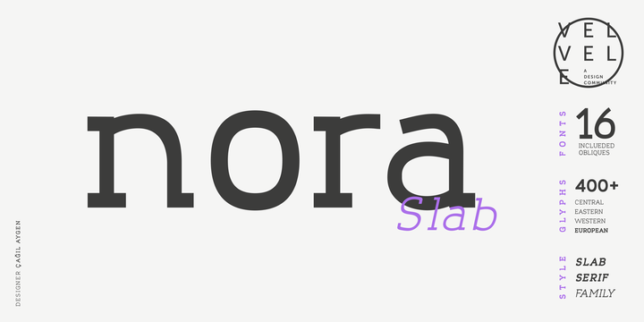 Nora Slab Font Family插图