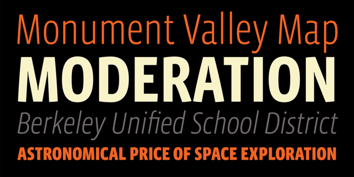 Vista Sans Narrow Font Family插图3