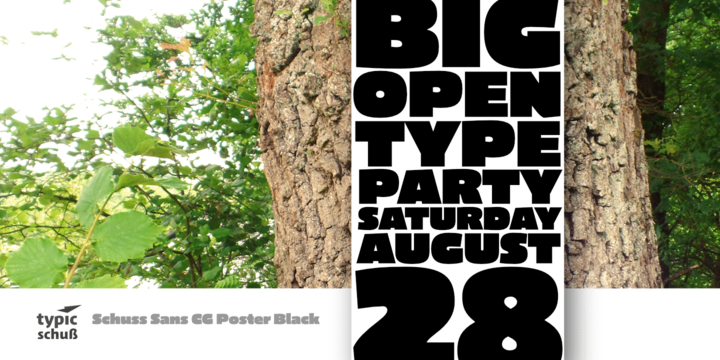 Schuss Sans CG Poster Black Font插图3