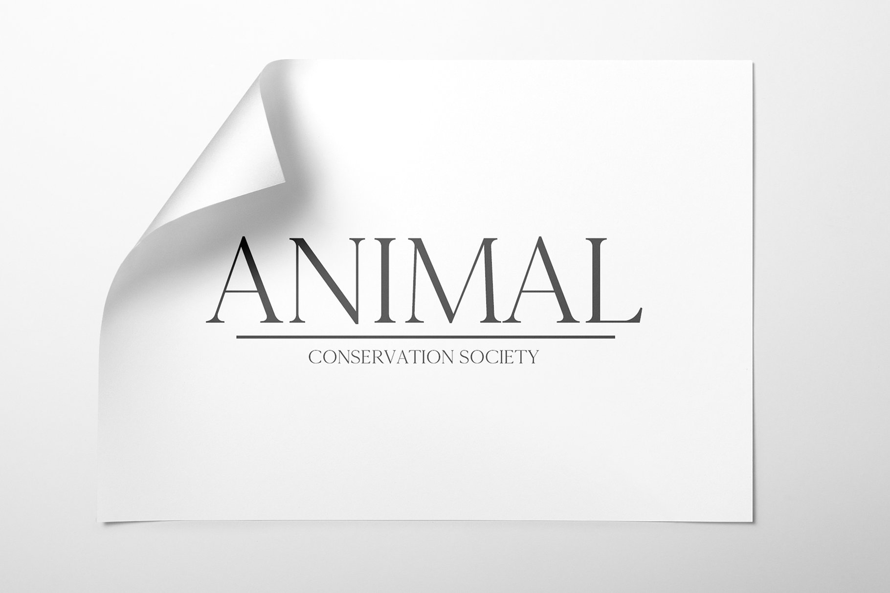 排版印刷网页设计适用的英文衬线字体家族 Cammron Serif Font Family插图(2)