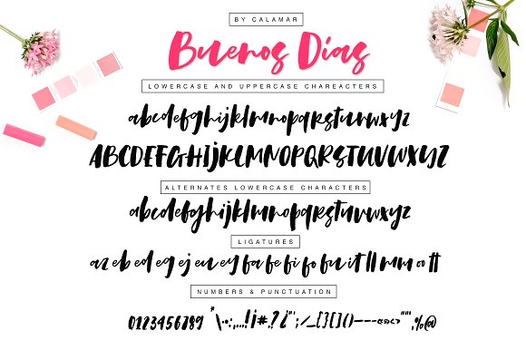 Buenos Dias Font + Extras插图1