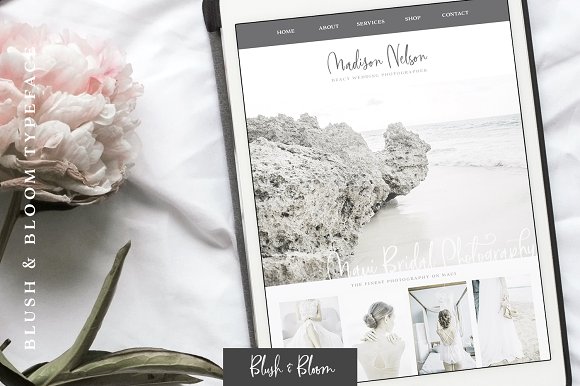 Blush & Bloom Signature Type插图5