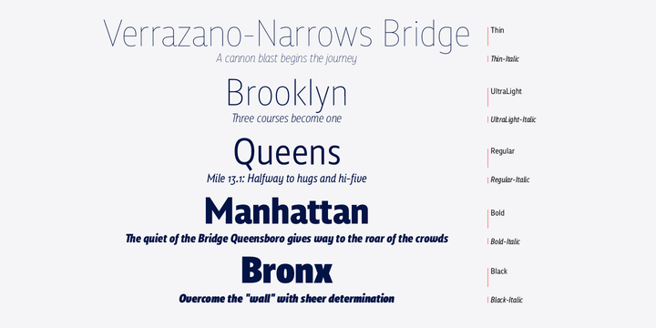 Squalo Font Family插图2