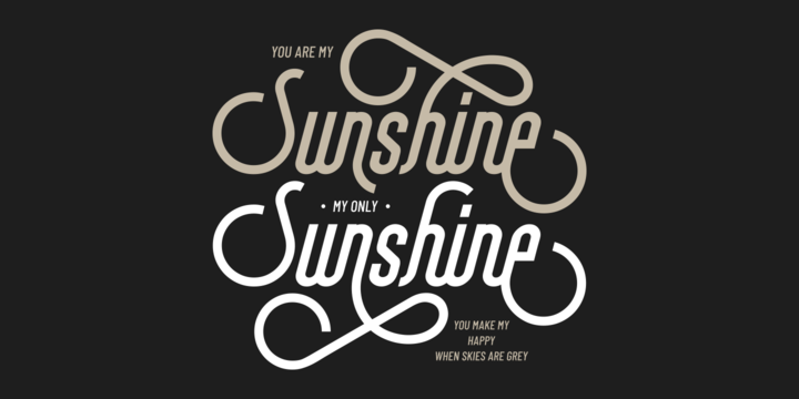 Brayline Font插图3