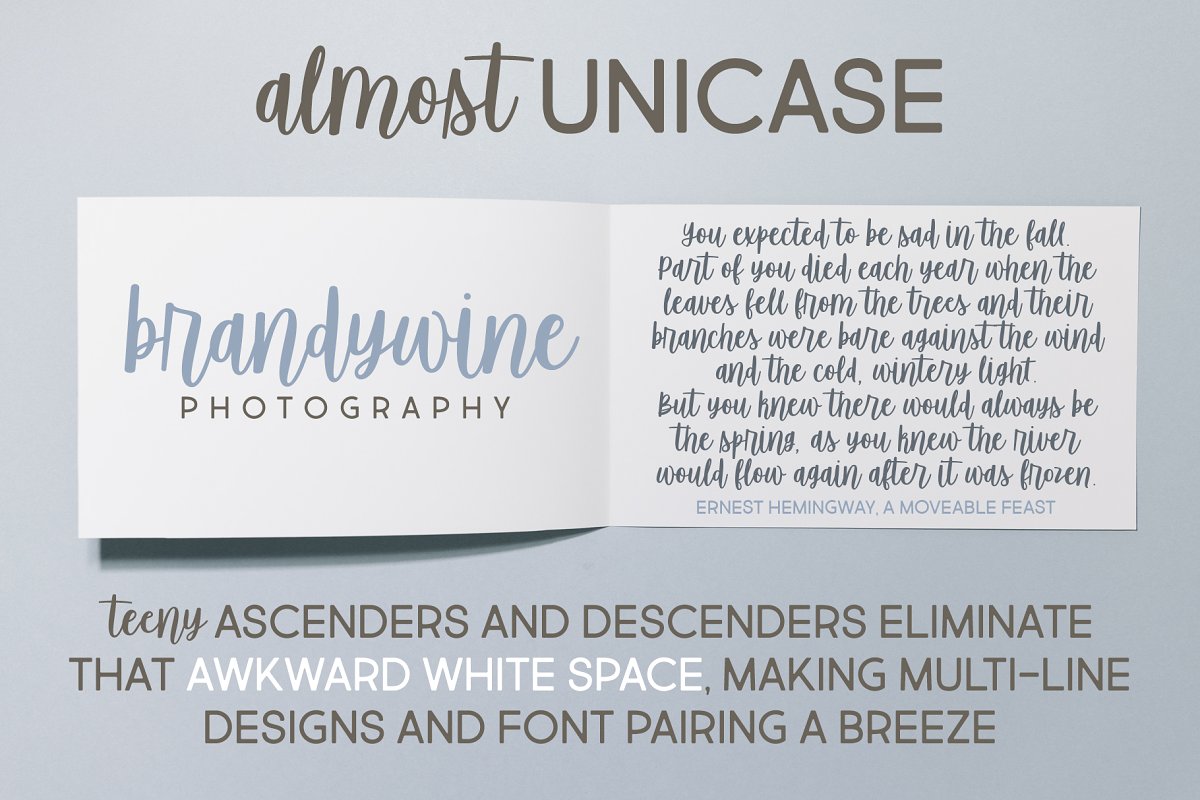 Sugar Spice Font插图1