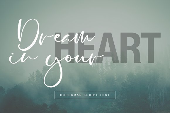 Brockman Font插图3