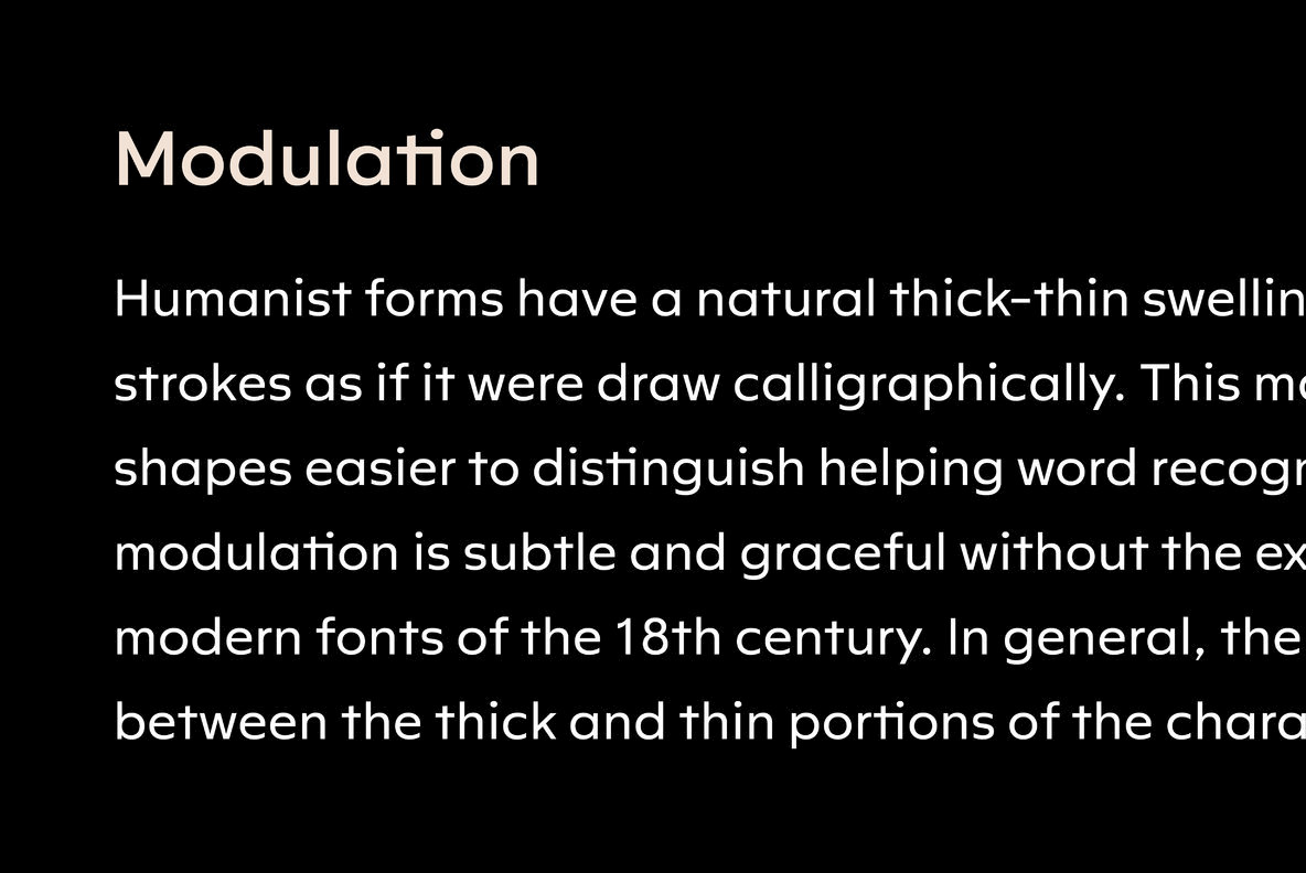 Rileno Sans Font Family插图4