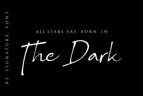 BS SIGNATURE Font插图3