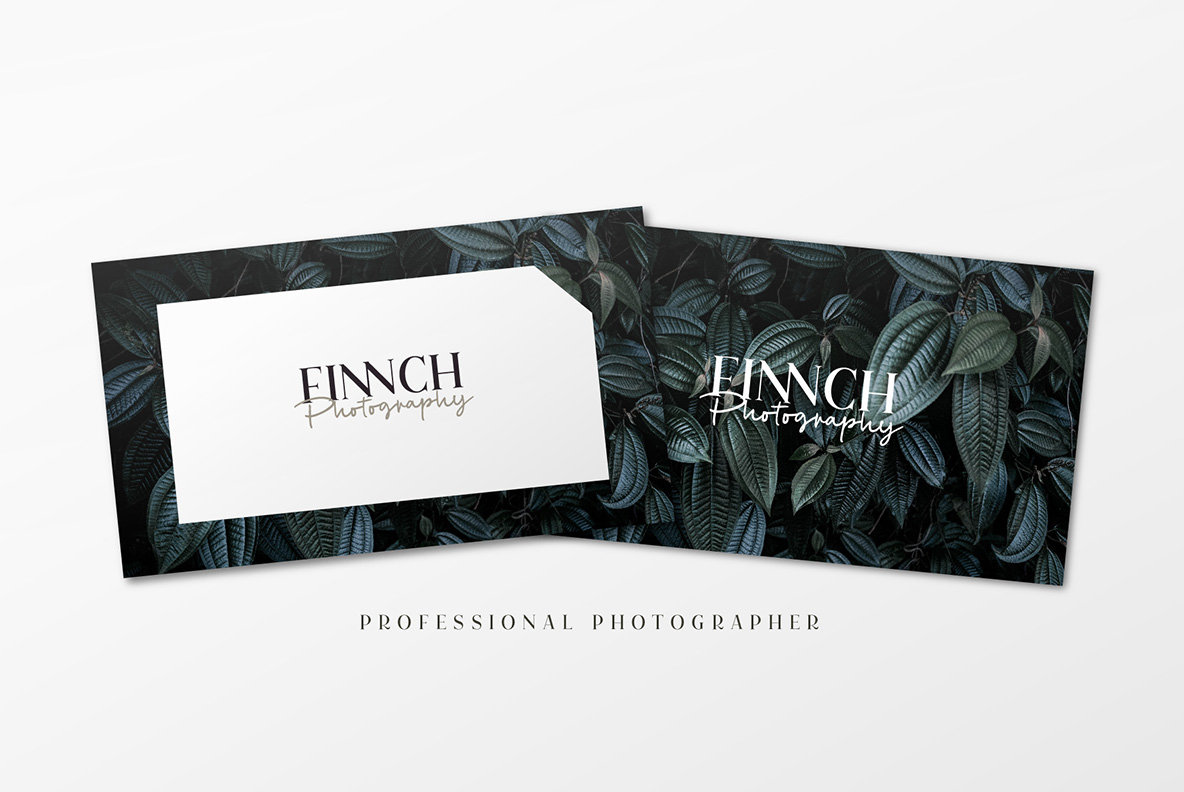 Cest Lavie Font Duo插图3