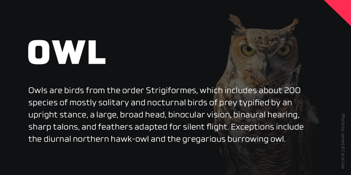 Futo Sans Font Family插图3