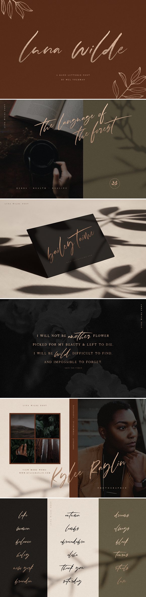 Luna Wilde Hand Lettered Font插图1