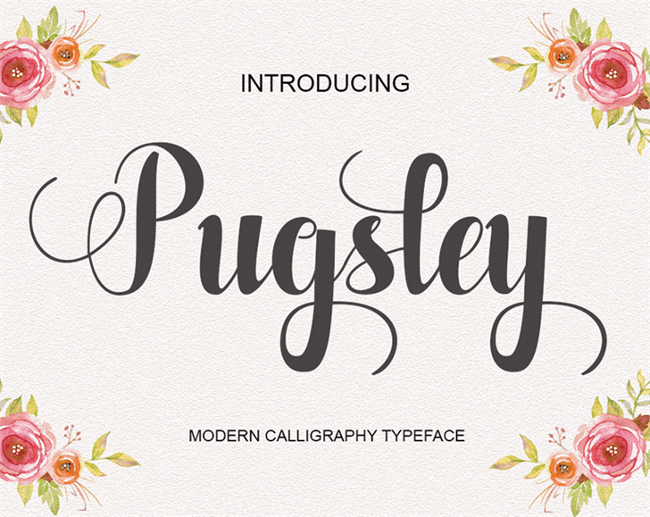 Pugsley font插图 Pugsley font插图