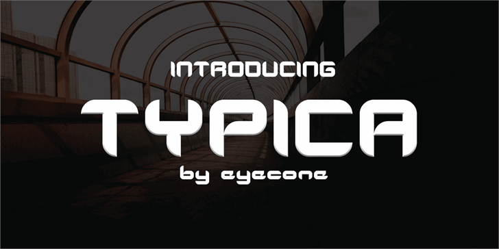 TYPICA font插图