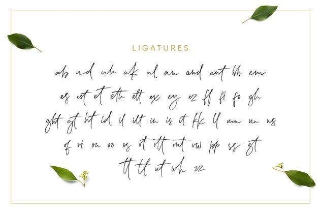 二重奏连体英文＆衬线字体 Lemonade Fonts Duo插图(11)