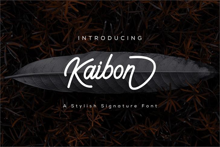 Kaibon font插图1 Kaibon font插图1