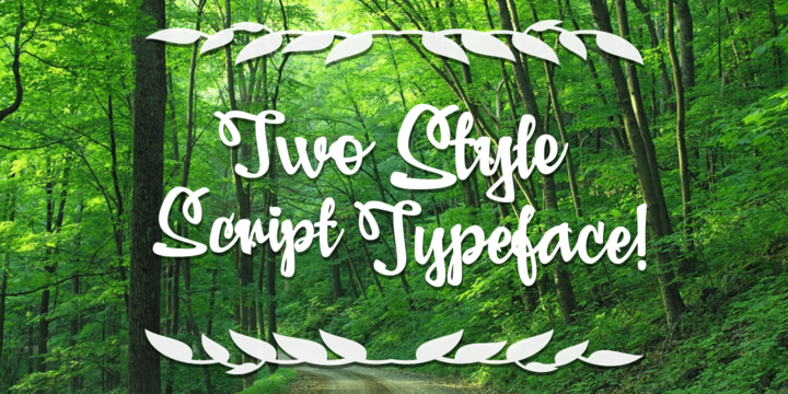 Adielle Font Family插图1