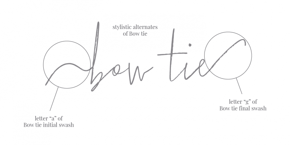 Bow Tie Font Family插图3