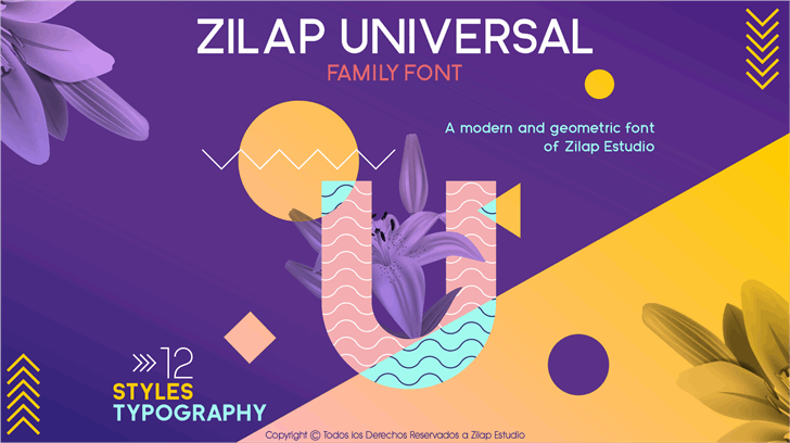 Zilap Universal font插图 Zilap Universal font插图