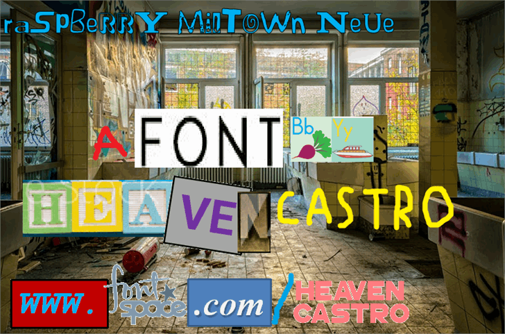 Raspberry Miltown Neue font插图