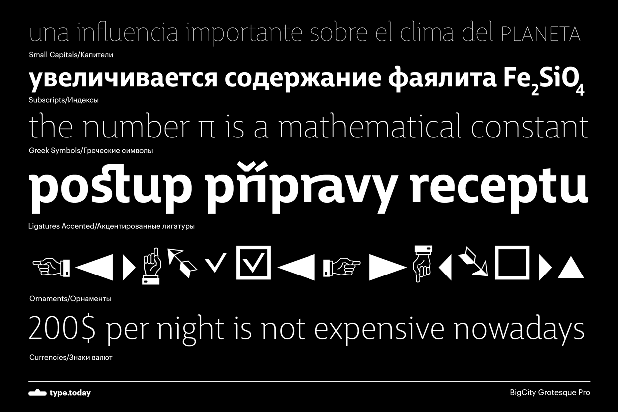 BigCity Grotesque Pro Font Family插图9