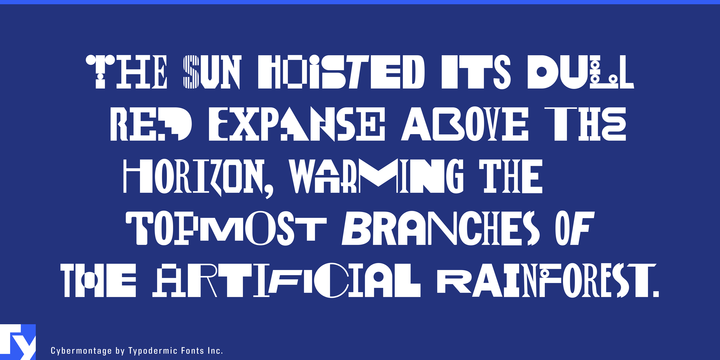 Cybermontage Font插图4