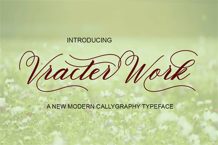 VracterWork font插图 VracterWork font插图