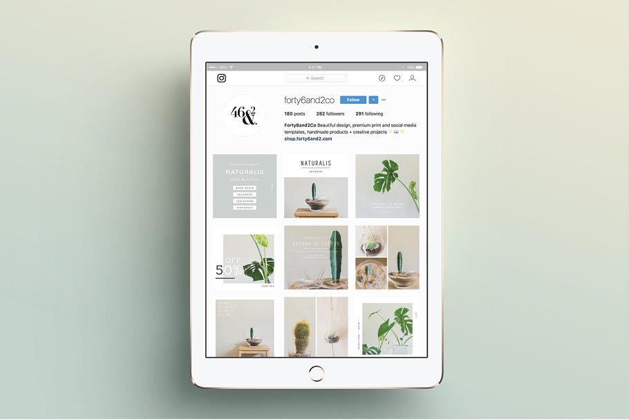 植物盆栽主题社交媒体贴图模板素材库精选[Instagram版本] NATURALIS Instagram Pack插图(7)