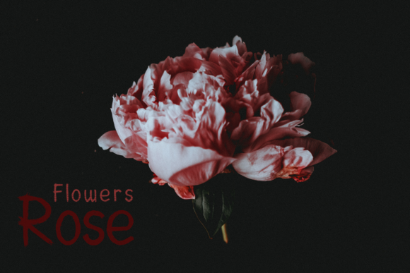 Another Scream Font插图2