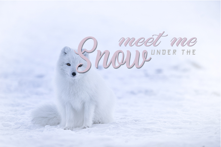 DEFINITE SOULOther Font插图2