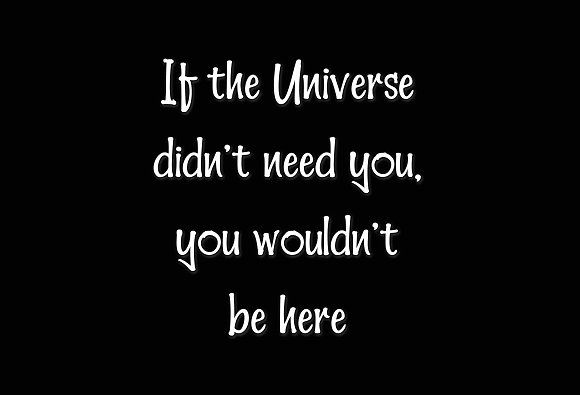 Hellobello Fonts插图4