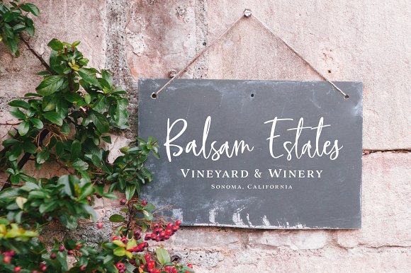 Blush & Bloom Signature Type插图1