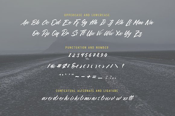 Wildlast Handbrush Typeface插图2